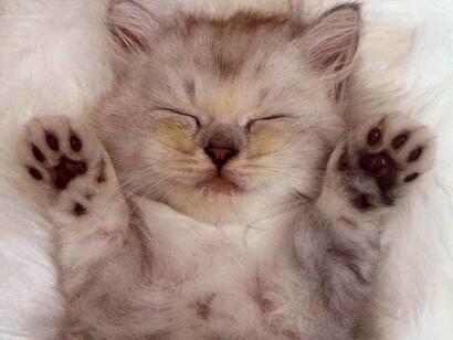 Sonno profondo