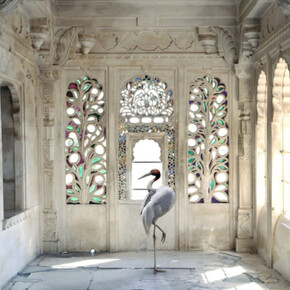 Karen Knorr. Courtesy of Danziger Gallery