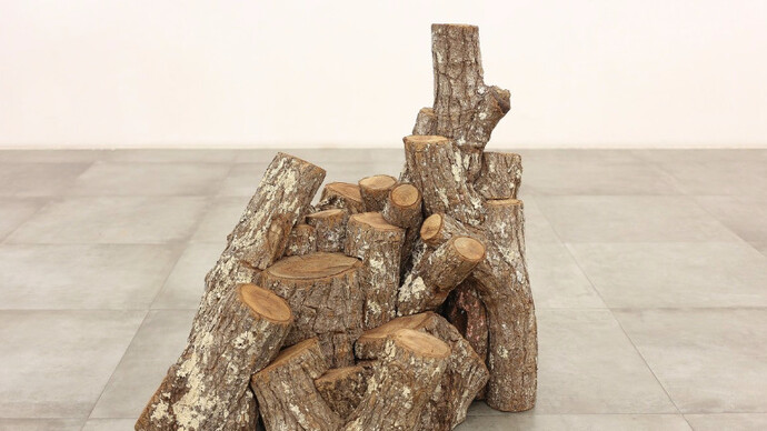 Marcelo Zocchio. Courtesy of Bolsa de Arte