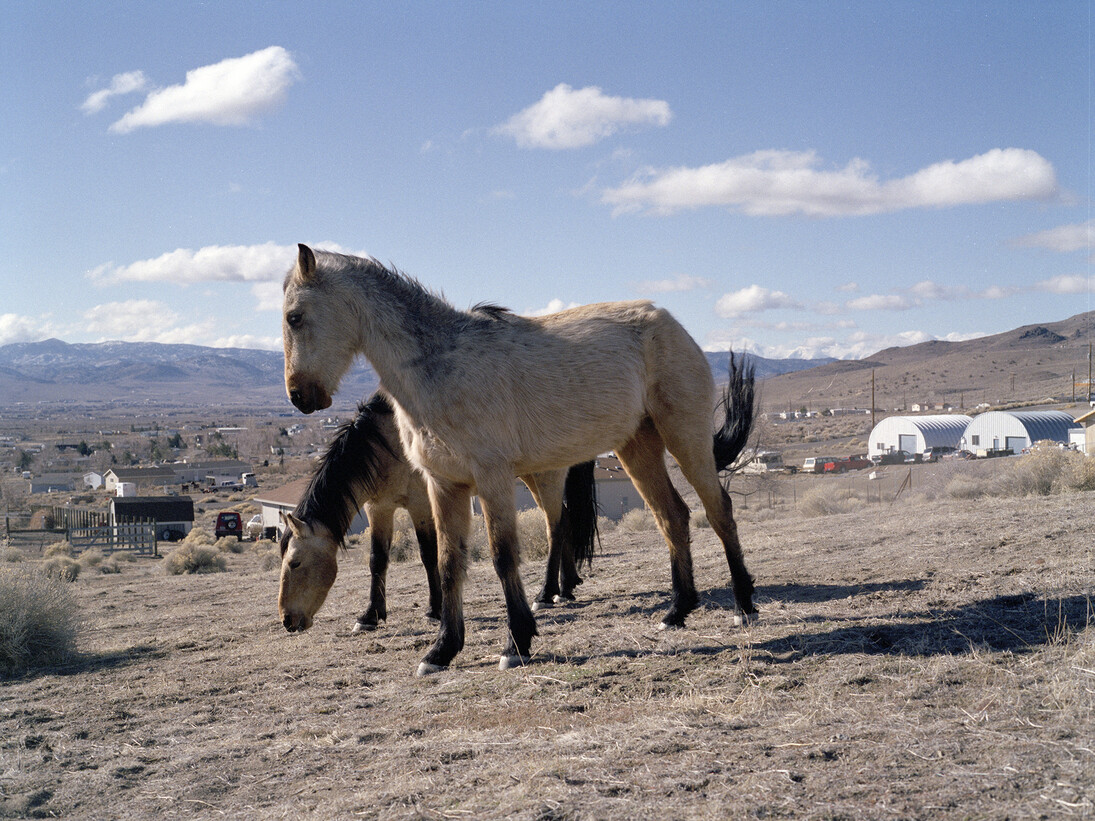 Charlotte Dumas, Sam Clemens Avenue Stagecoach NV, from the series The Widest Prairies, 2013 © Charlotte Dumas, Courtesy of the artist
