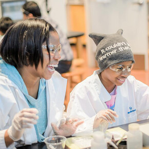 The Human Body. Courtesy of Science Museum of Minnesota