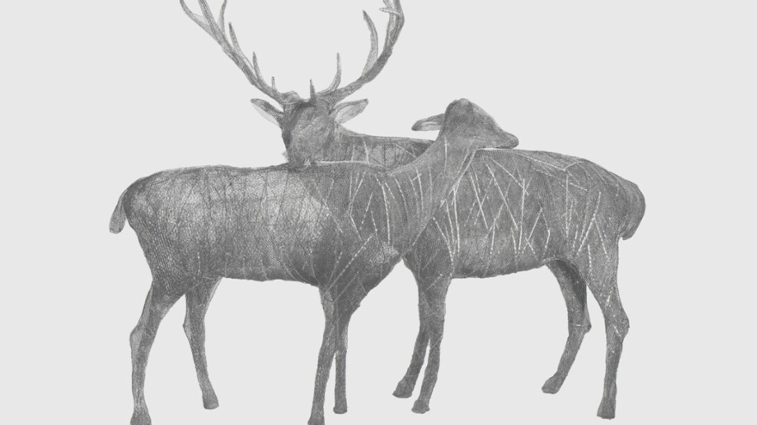 En Plein Coeur. Courtesy of Galerie Dumonteil