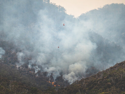 Queimadas se alastram pela floresta
