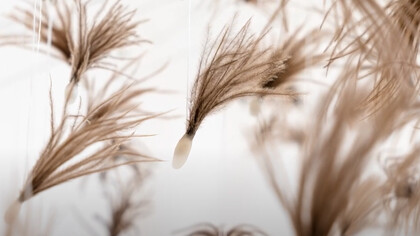 De la música clásica orquestal al arte visual, lejos de ser un abandono, se revela como una extensión natural de su sensibilidad para la armonía y el ritmo, trasladados ahora al lenguaje tridimensional de la escultura y la instalación