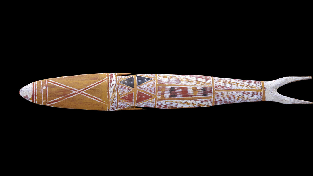Statuette en forme de poisson, Australie, Territoire du Nord, Terre d’Arnhem centrale, îles Crocodile, Milingimbi, Yolngu. Milieu du 20e siècle, Bois, pigments naturels, L 56 cm l 7 cm, Don de Georges Barbey en 1960. Photo: © MEG, J. Watts