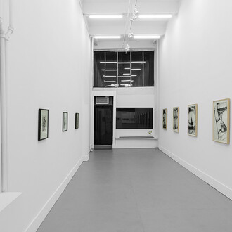 Andy Warhol, Sex parts, exhibition view. Courtesy of Clamp Gallery