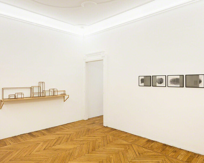 Extractions. Courtesy of Federica Schiavo Gallery