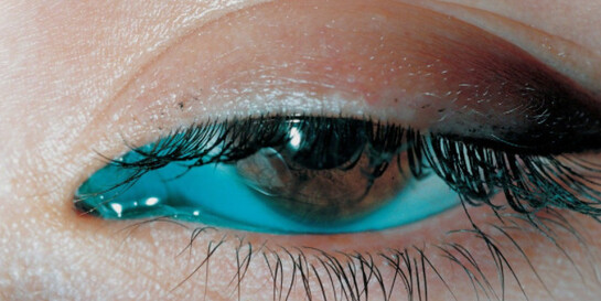 Women in Colour. Courtesy of Rubber Factory