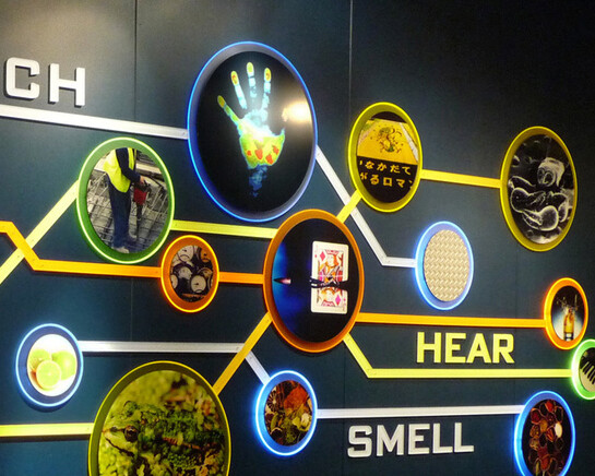 Take a Closer Look. Courtesy of Museum of Science 
