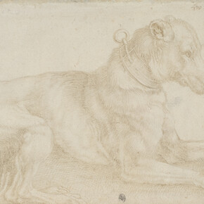 Albrecht Dürer, Dog resting, c. 1520, silverpoint over charcoal on pale pink prepared paper, 128 x 180mm © The Trustees of the British Museum