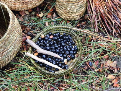 Pequeña cesta con calafates