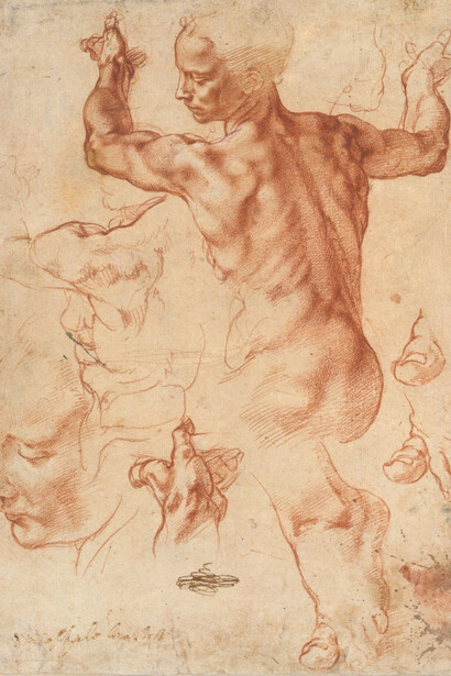 Michelangelo Buonarroti, Estudios para la Sibila Libia