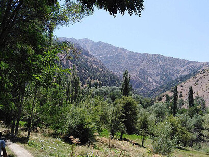 Kitab Nature Reserve, Shakhirsabz, Afghanistan