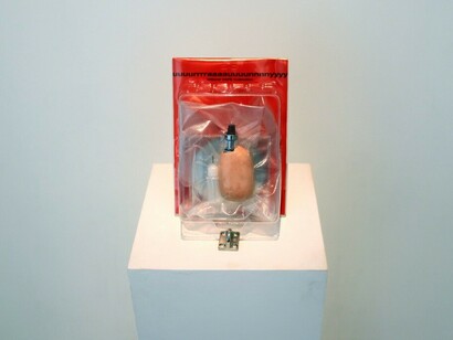 Uuuurrrraaaauuuunnnnyyyy. Courtesy of SNOW Contemporary 