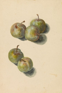 Manet to Cézanne. Courtesy of Museum Boijmans