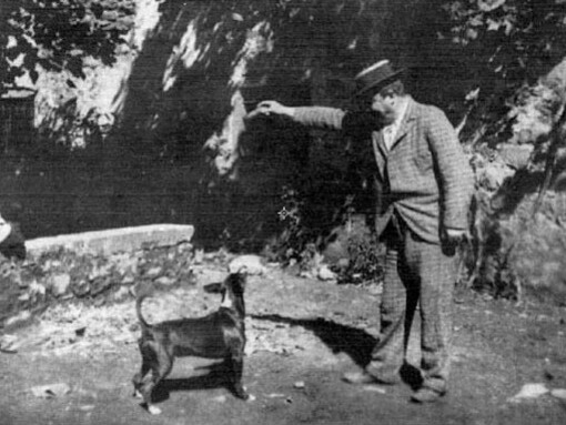 Pascoli con il cane Gul