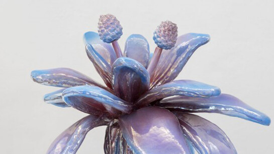 02.74.75.76. Courtesy of Federica Schiavo Gallery