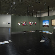 Diversos artistas, Histórias da ecologia, vista da exposição. Cortesia do MASP