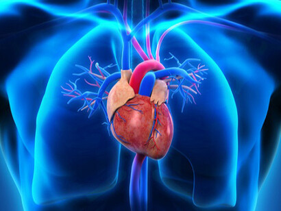 Our lungs can also be substituted by a small pump that will be functioning forever without all the fleshy lungs problems
