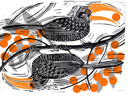 Rebecca Elliot, Birds