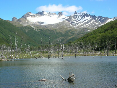 Torre de Rhino