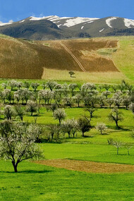 Iraqui Kurdistan