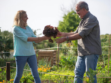 Senior couple enjoying a peaceful day tending vegetables in a colorful community garden in Portugal