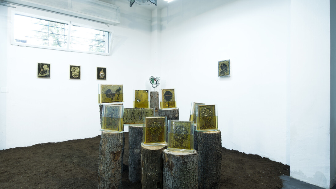 Nawras Shalhoub