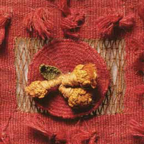 Chimu ceremonial costume. Courtesy of Museo Chileno de Arte Precolombino