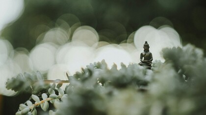 El estado Zen representa una experiencia de absoluta conexión con el presente, libre de intención o esfuerzo consciente