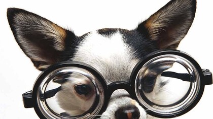 Gli occhiali con le montature spesse