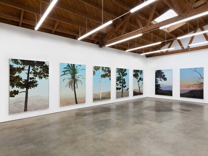 Jake Longstreth. Courtesy of Nino Mier Gallery