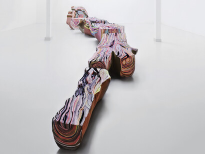 Tamara Kostianovsky, À fleur de peau, exhibition view. Courtesy of RX&SLAG Gallery