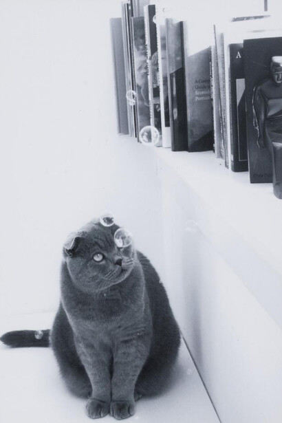 In My Bubble
by Estefania Villar Bibian, Information Desk Assistant (and previously Retail Supervisor) for 10 years
