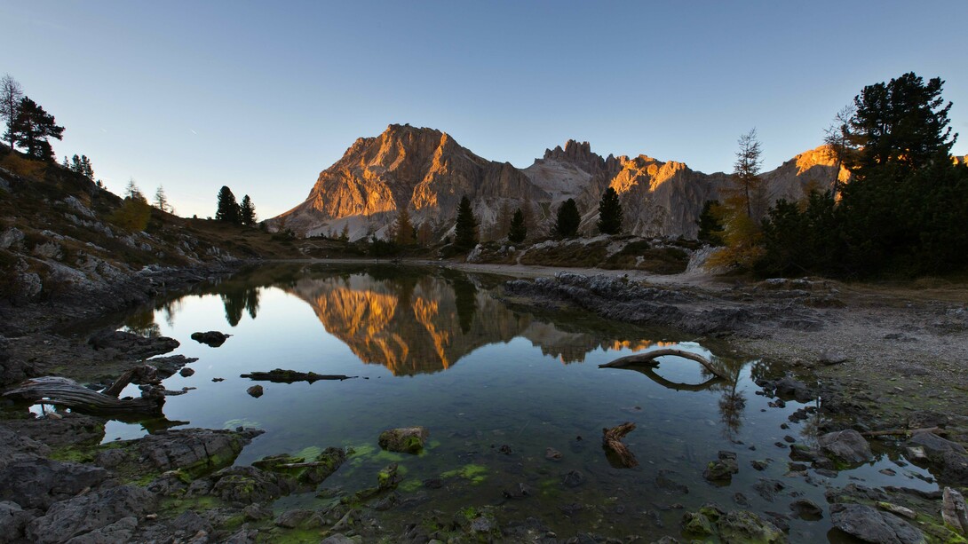 Perdersi per perdersi