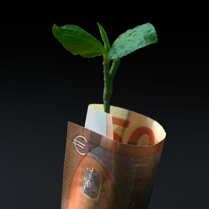 The pursuit of sustainability represents a concrete framework for global ecological economic growth 