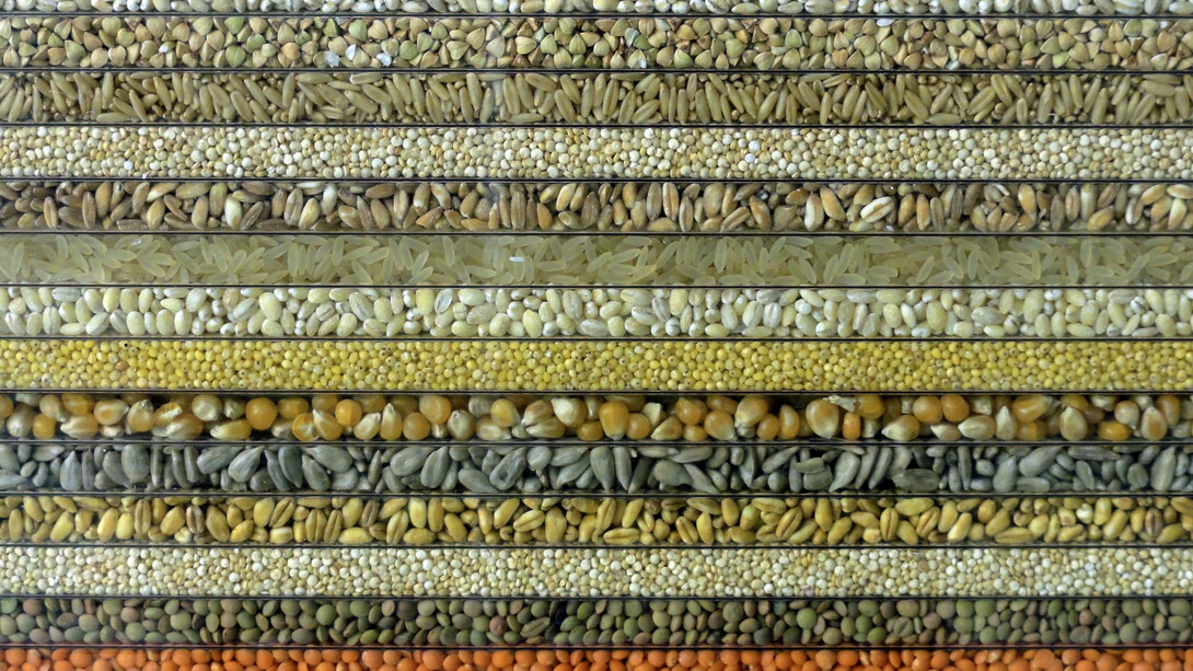 Loris Cecchini, The polychromeseedsessions (collection 1), 2015, natural seeds incapsulated into UV-shielded alveolar polycarbonate, wood and metal frame, 151 x 201 x 5 cm