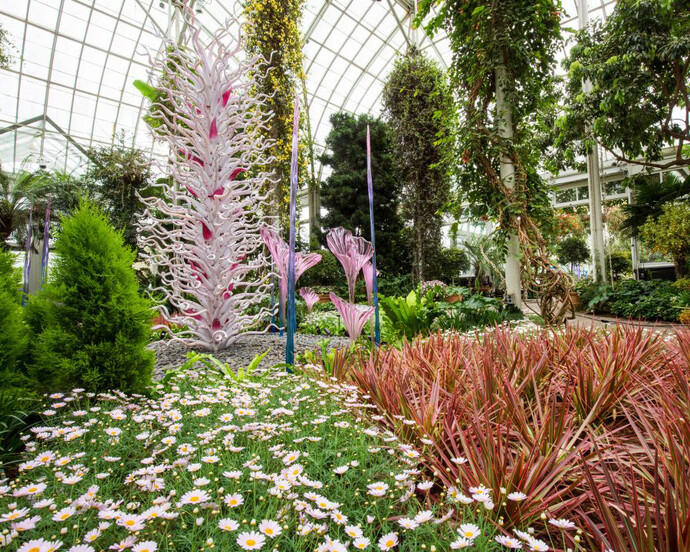 Chihuly. Courtesy of NTBG