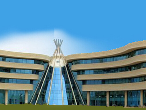 Para ello hay que ir más allá de la repetición de palabras, para empezar, ejerciendo el libre albedrío en la toma de decisiones, desde las más sencillas hasta las más complejas y profundas.  La primera Universidad, Regina, provincia de Saskatchewan, Canada