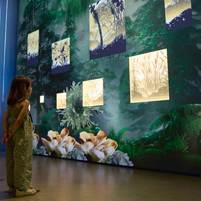 L’homme qui plantait des arbres : un récit immersif, vue de l’exposition. Avec l’aimable autorisation du Canadian Museum of Nature