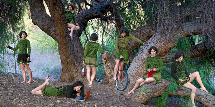 This is not a Selfie. Courtesy of San Jose Museum of Art
