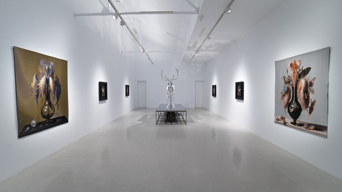Mat Collishaw, Vivisystem, vista de exhibición. Cortesía de la Galería Hilario Galguera