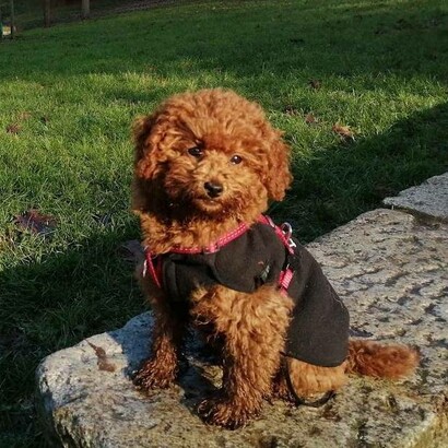 Taitù all'idroscalo di Milano