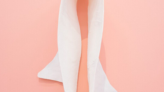 Project Gallery: Shana Lutker, Again Against, A Foot, A Back, A Wall, 2015, The Speaker, 2015. Installation view Pérez Art Museum Miami, Courtesy the artist and Susanne Vielmetter Los Angeles Projects, Photo: Studio LHOOQ