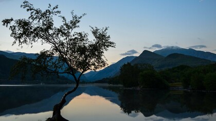 The days of empty promises of “net-zero by 2050” are too little