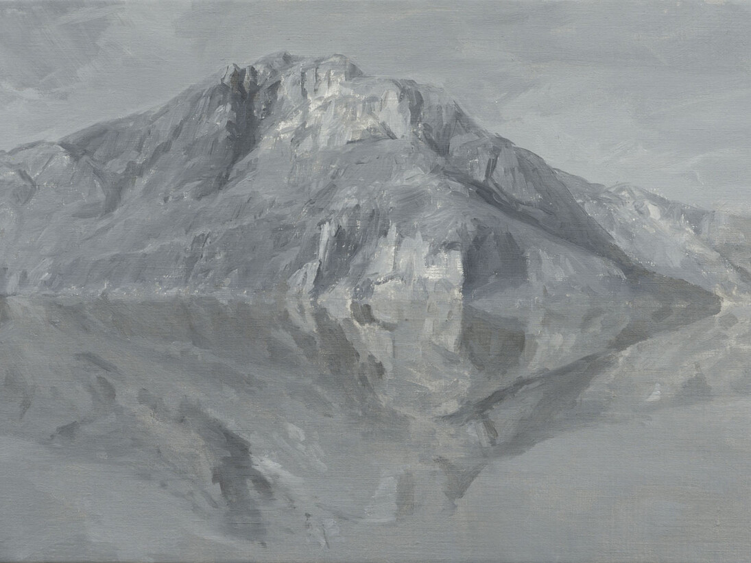 Luca Conca, Specchio, 2015, olio su tela, 35 x 60 cm