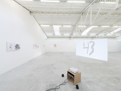 Tercerunquinto, Exhibition view. Courtesy of Proyectos Monclova