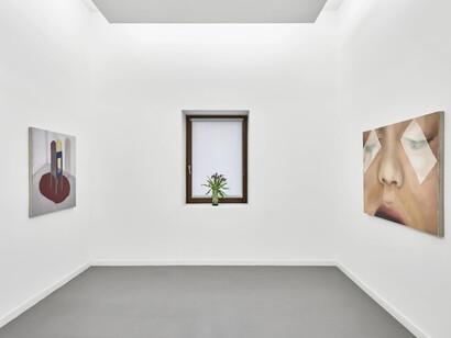 Lyn Liu, H-dropping, exhibition view. Courtesy of Kasmin Gallery