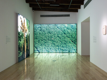 Varios artistas, El tiempo en las cosas III. Salas de Arte Contemporáneo, vista de exhibición. Cortesía del Museo Amparo