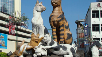 Gatti monumento di fronte al Sarawak Plaza e Holiday Inn